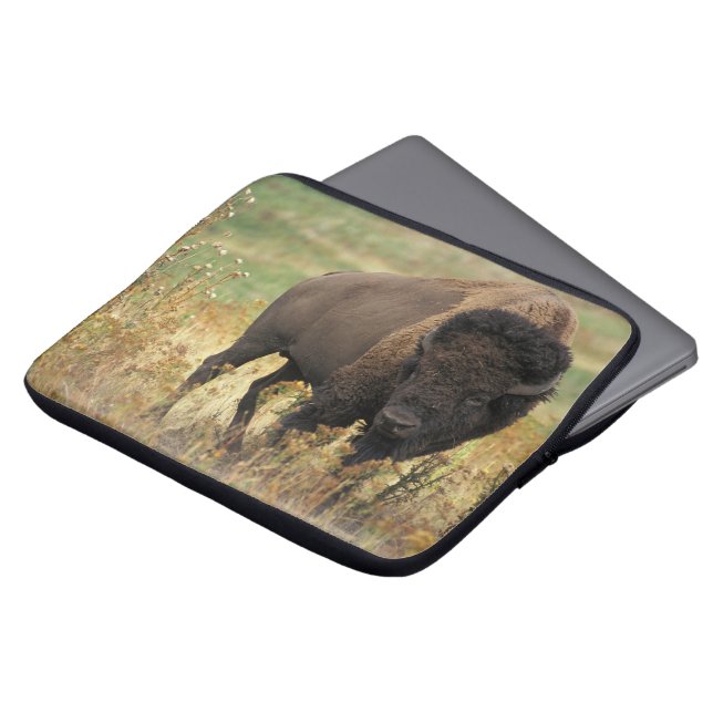 Capa Para Notebook Buffalo (Frente Topo)