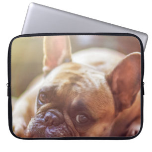 Capa Para Notebook buldogue francês