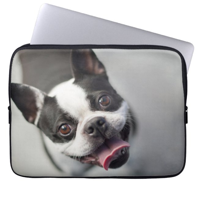 Capa Para Notebook Buldogue francês das imagens | de Getty (Frente)