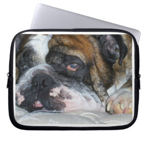Capa Para Notebook Buldogue inglês
