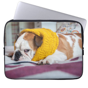 Capa Para Notebook Buldogue inglês das imagens   de Getty