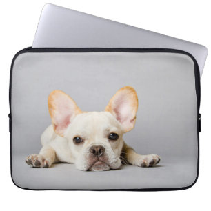 Capa Para Notebook Bulhdog Francês Deitado