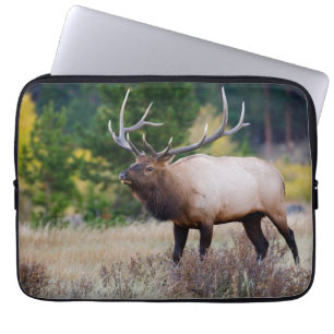 Capa Para Notebook Bull & Aspen Trees Rocky Mountain National Park