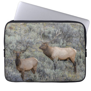 Capa Para Notebook Bull Elk Parque Nacional Yellowstone, Wyoming