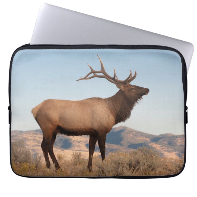 Capa Para Notebook Bull Elk perto de Mammoth | Wyoming (Frente)