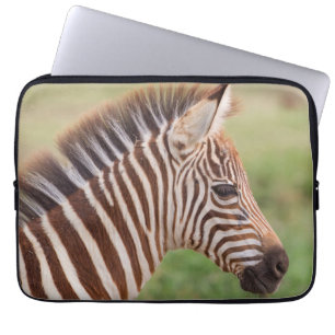 Capa Para Notebook Cabeça de zebra bebê, Tanzânia