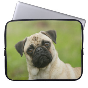 Capa Para Notebook Cabeça do Pug armada olhando a câmera