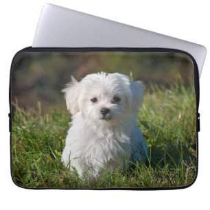 Capa Para Notebook Cachorro branco branco liso Maltês Cachorro