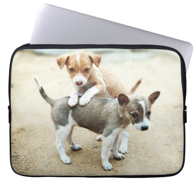 Capa Para Notebook Cachorros bonitos brincando na praia (Frente)