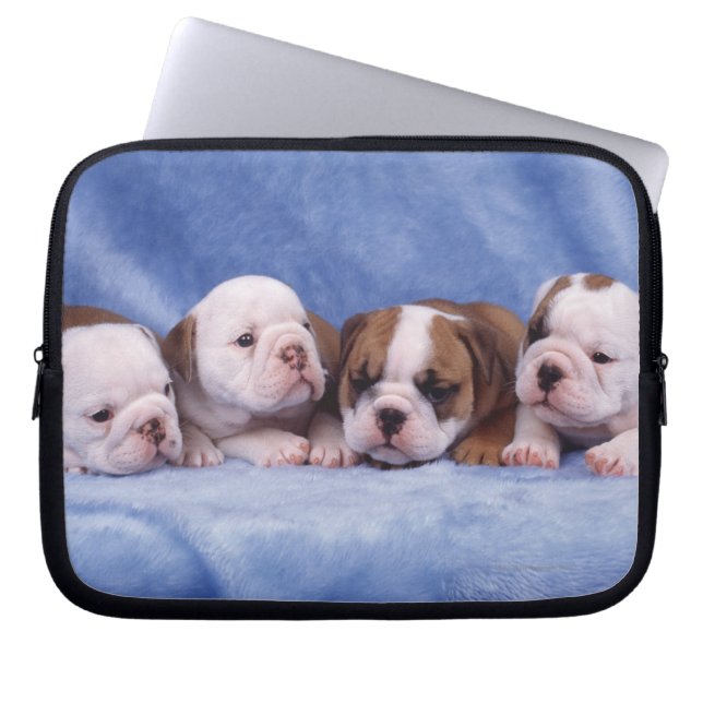 Capa Para Notebook Cachorros-de-banho (Frente)