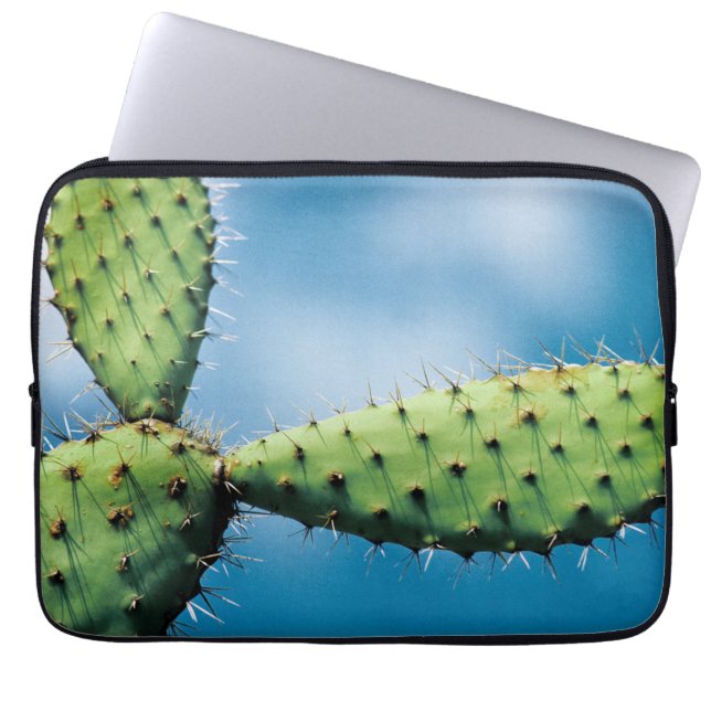 Capa Para Notebook Cacto de Prickley (Frente)