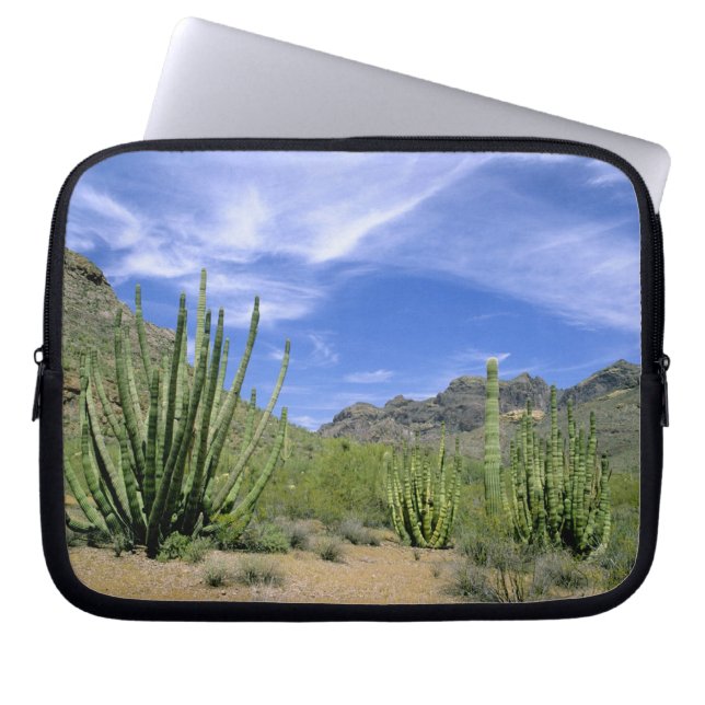 Capa Para Notebook Cacto do deserto no Monumento Nacional Organ Pipe, (Frente)