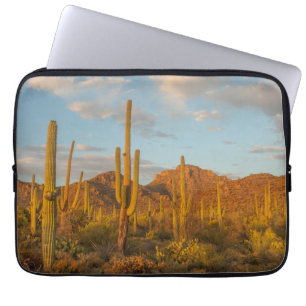 Capa Para Notebook Cacto saguaro ao pôr do sol, Arizona