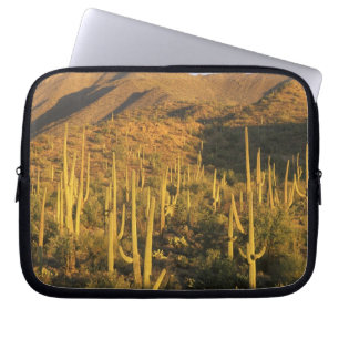 Capa Para Notebook Cacto saguaro no Parque Nacional Saguaro perto