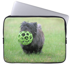 Capa Para Notebook Cairn terrier