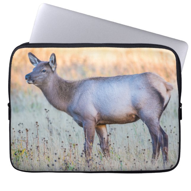 Capa Para Notebook Calf Elk | Madison Junction, Wyoming (Frente)