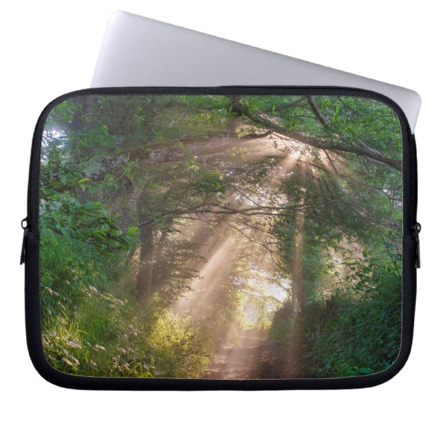 Capa Para Notebook Caminho da Floresta (Frente)