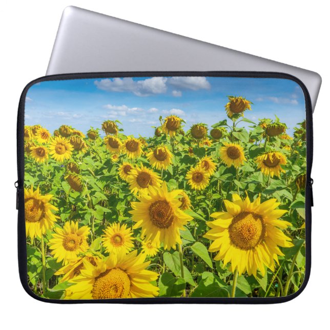 Capa Para Notebook Campo de girassol, dia ensolarado de verão. (Frente)