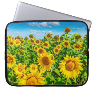 Capa Para Notebook Campo de girassol no verão ensolarado. Picturesco