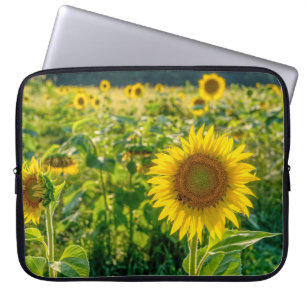Capa Para Notebook Campo de girassol ouro