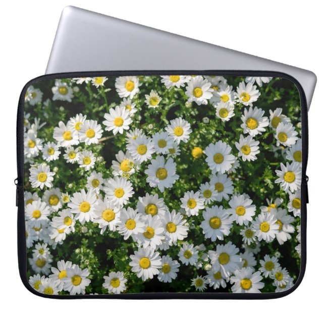 Capa Para Notebook Campo primavera Daisy: Fundo Serene (Frente)
