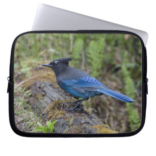 Capa Para Notebook Canadá: Colúmbia Britânica, Yoho NP, Charneca-azul