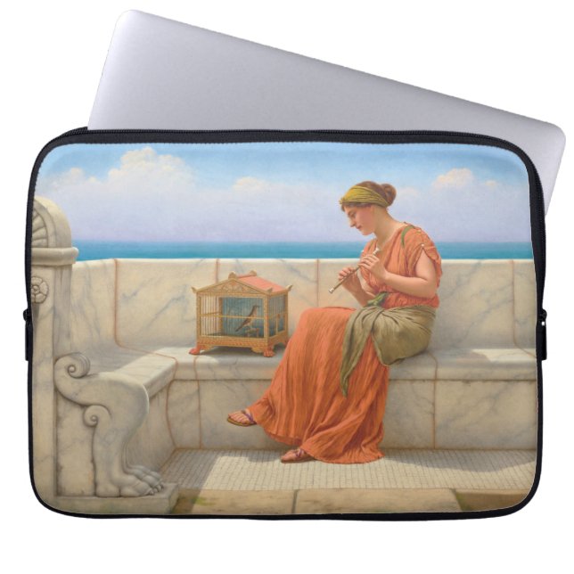 Capa Para Notebook Canções Rajosas Sem Palavras De Arte (Frente)