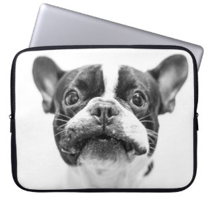 Capa Para Notebook cão