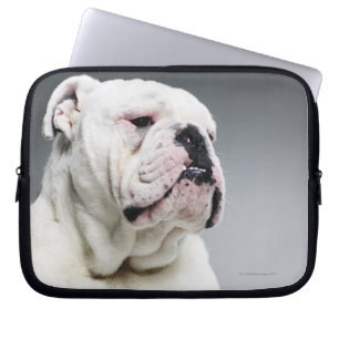Capa Para Notebook Cão branco de Bull