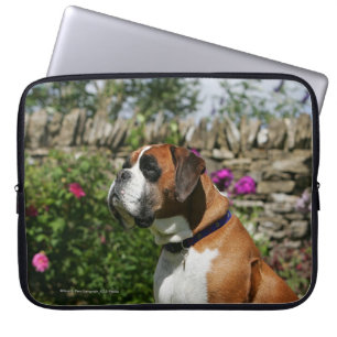 Capa Para Notebook Cão do pugilista nas flores