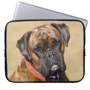 Capa Para Notebook Cão rajado do pugilista