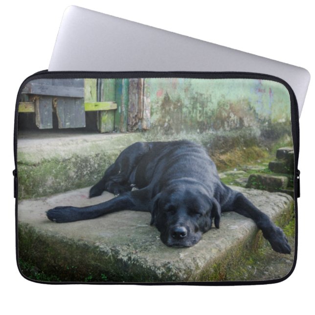 Capa Para Notebook Cão sonolento (Frente)