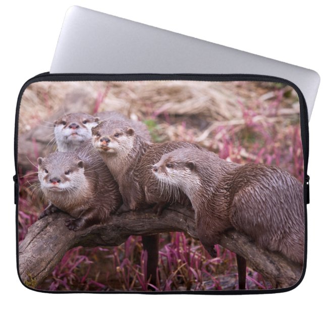 Capa Para Notebook Capas de Laptop de Lontras de Pequenas Garras (Frente)