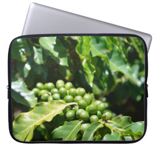 Capa Para Notebook Capas de Laptop Frutas de Café Verdes