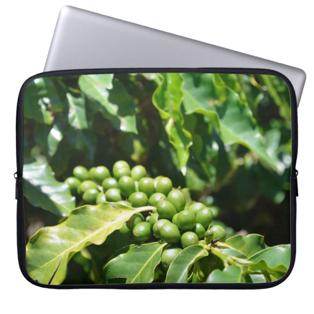 Capa Para Notebook Capas de Laptop Frutas de Café Verdes (Frente)