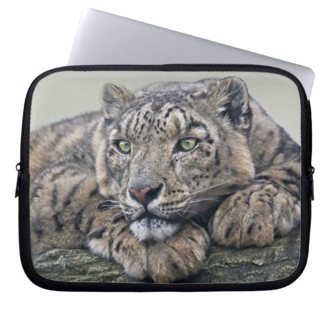 Capa Para Notebook Capinha de Laptop Leopard Dreaming (Frente)