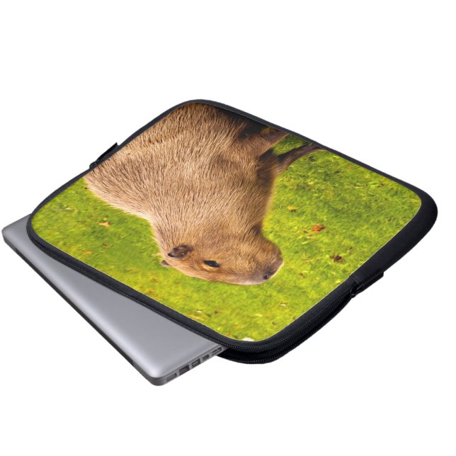 Capa Para Notebook Capivara (Frente Inferior)