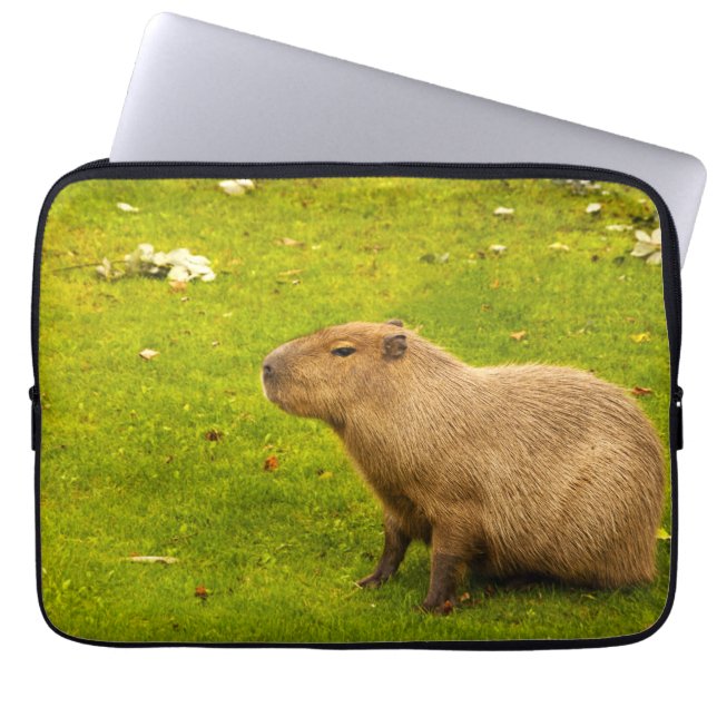 Capa Para Notebook Capivara (Frente)
