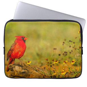 Capa Para Notebook Cardinal macho em tronco
