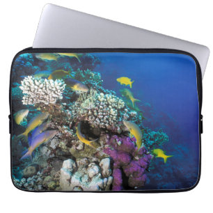 Capa Para Notebook Cardumes de Salmonete em torno de Pequeno Coral
