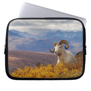 Capa Para Notebook carneiro Ovis dalli