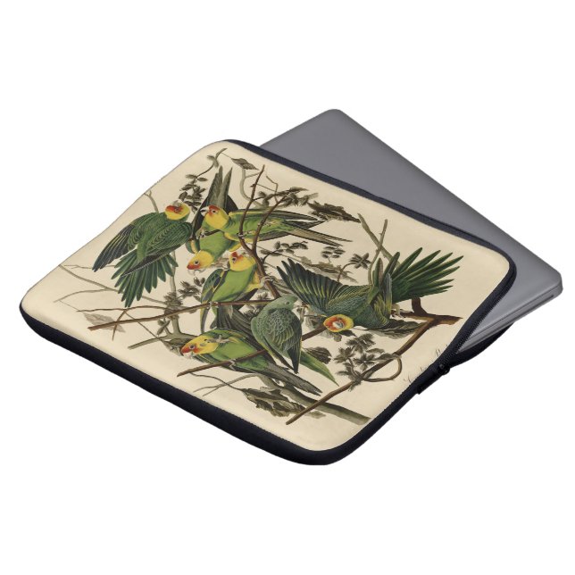 Capa Para Notebook Carolina Parrot das Aves da América de Audubon (Frente Topo)