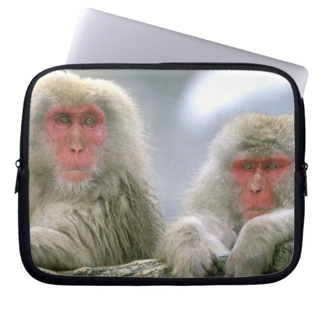 Capa Para Notebook Casais de Macacos da Neve, Macaco Japonês, (Frente)