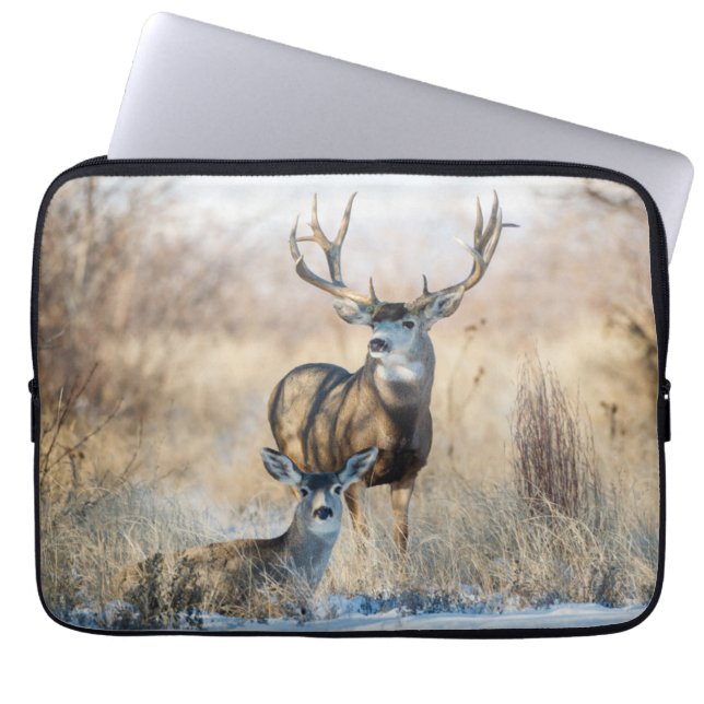 Capa Para Notebook Casal Buck | Mule Deer (Frente)