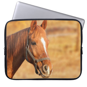 Capa Para Notebook Cavalo