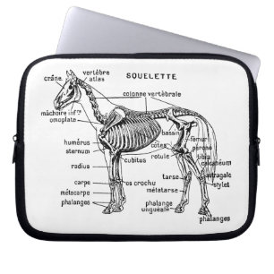 Capa Para Notebook Cavalo