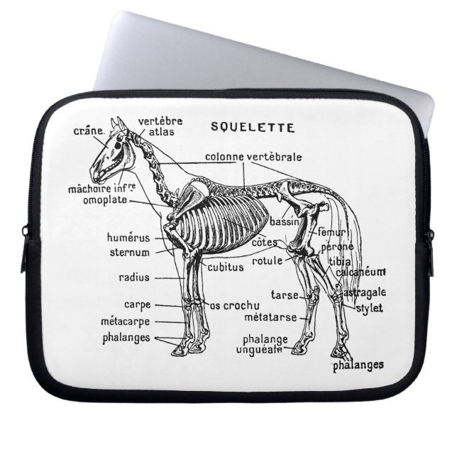 Capa Para Notebook Cavalo (Frente)