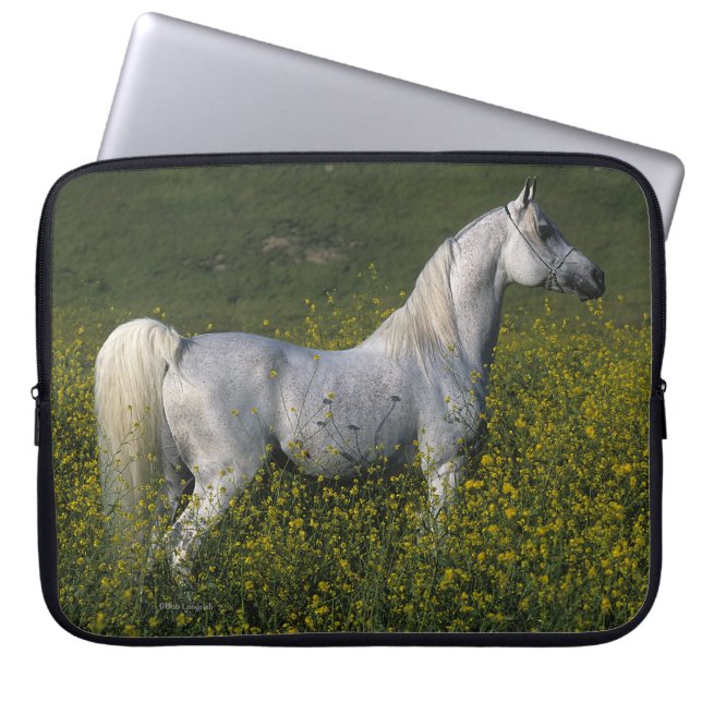 Capa Para Notebook Cavalo árabe que está nas flores (Frente)