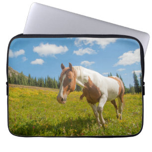Capa Para Notebook Cavalo Curioso em uma Pradaria Alpina no Verão