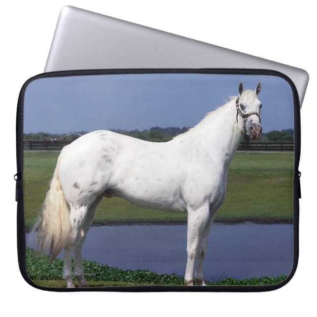 Capa Para Notebook Cavalo do Appaloosa (Frente)